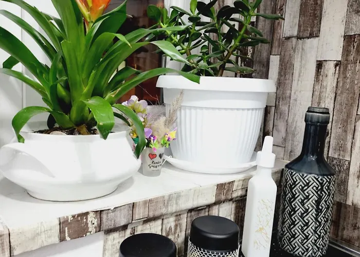 Апартаменты 05 Center *